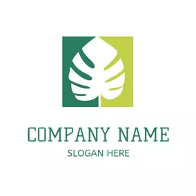 Leaf Logo Green Background and White Palm Leaf logo design