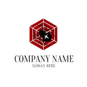 Insect Logo Spider Web and Spider logo design