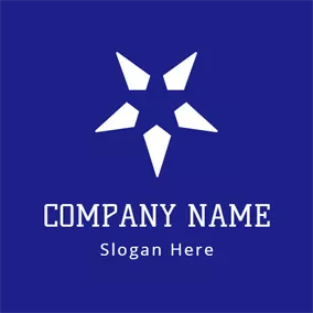 Combination Logo White and Blue Star logo design